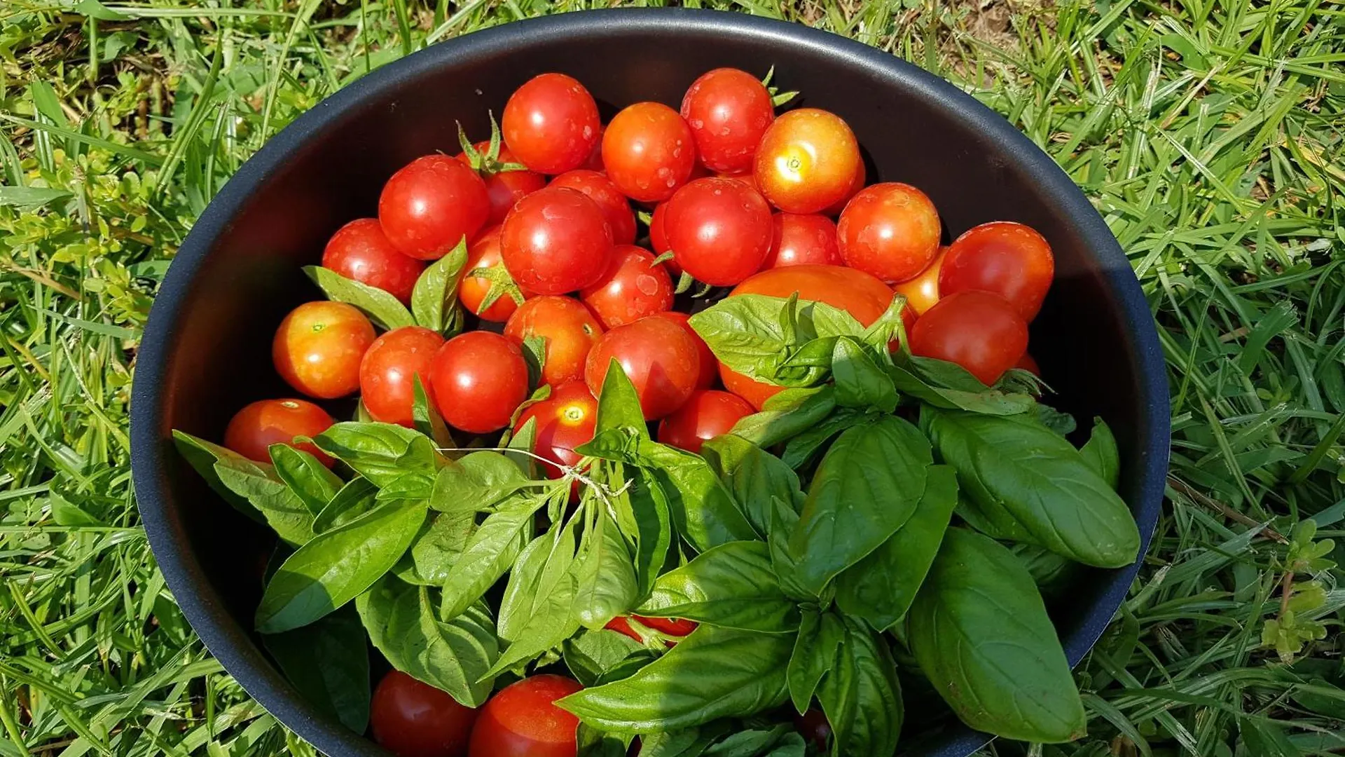 Nyaraló Il Giardino Di Tolu Siracusa Szirakúza