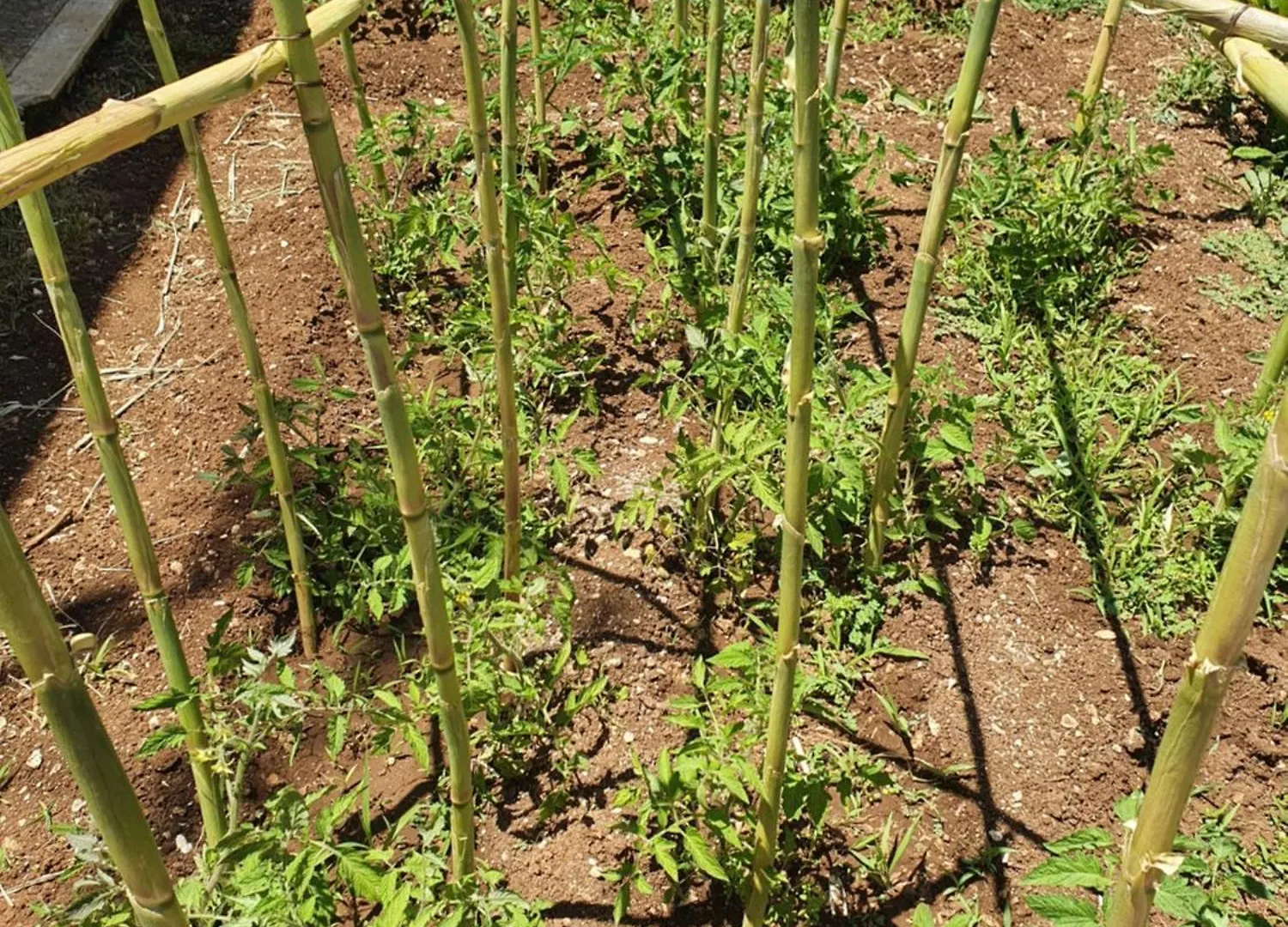Il Giardino Di Tolu Siracusa Szirakúza Nyaraló